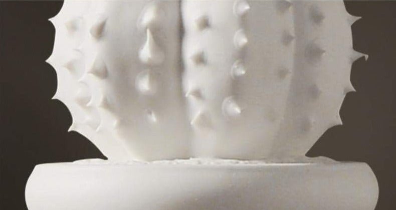 Virelle Maison - Décoration cactus en porcelaine blanche texturée | Virelle Maison