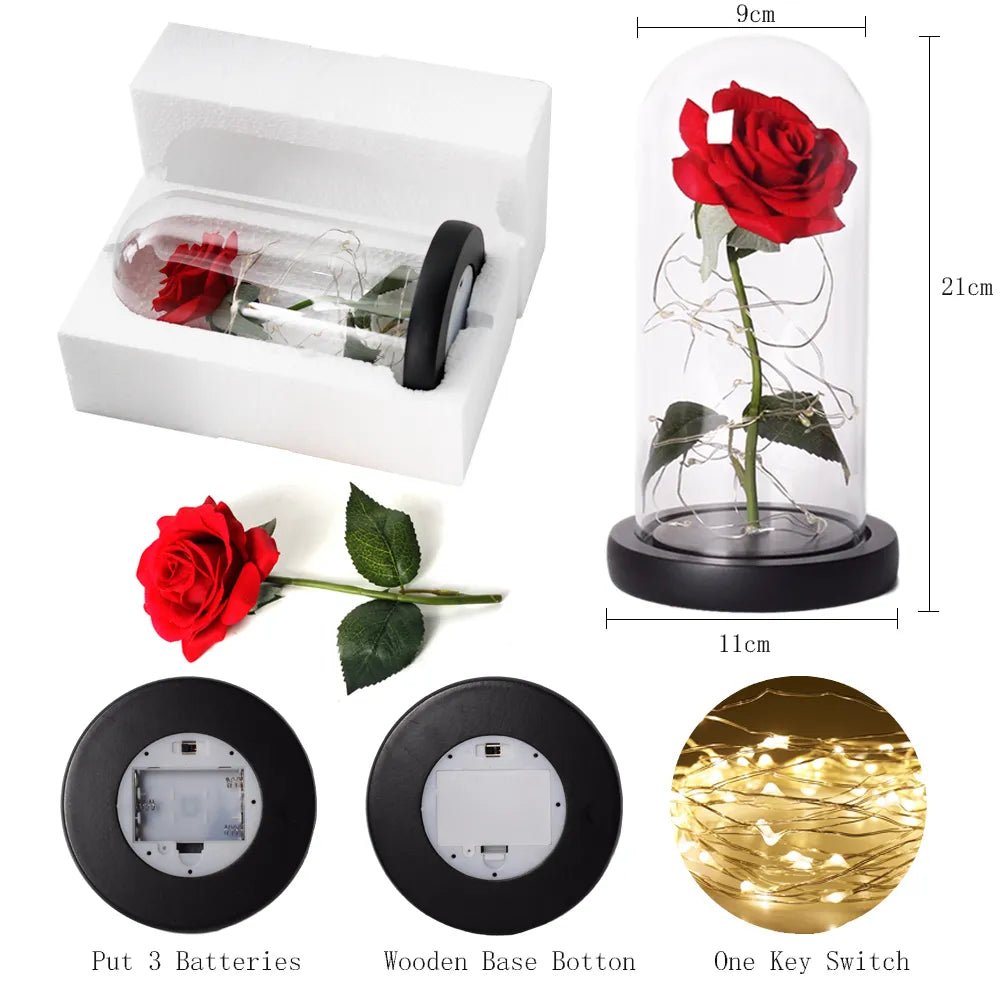 Virelle Maison - Rose préservée sous cloche en verre avec éclairage LED | Virelle Maison