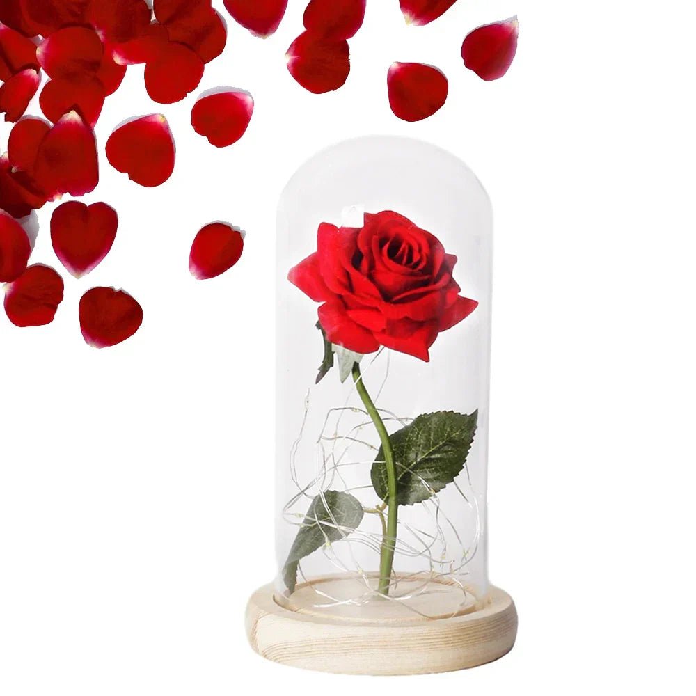 Virelle Maison - Rose préservée sous cloche en verre avec éclairage LED | Virelle Maison