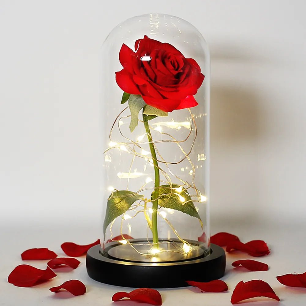 Virelle Maison - Rose préservée sous cloche en verre avec éclairage LED | Virelle Maison