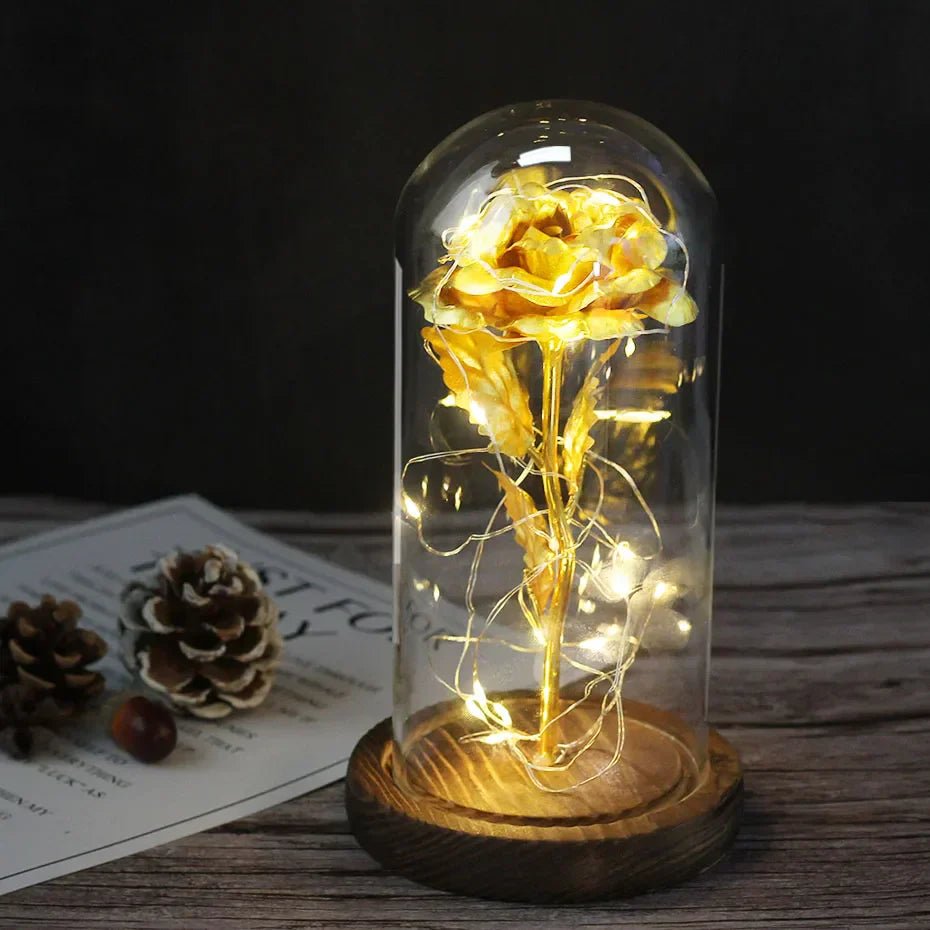Virelle Maison - Rose préservée sous cloche en verre avec éclairage LED | Virelle Maison