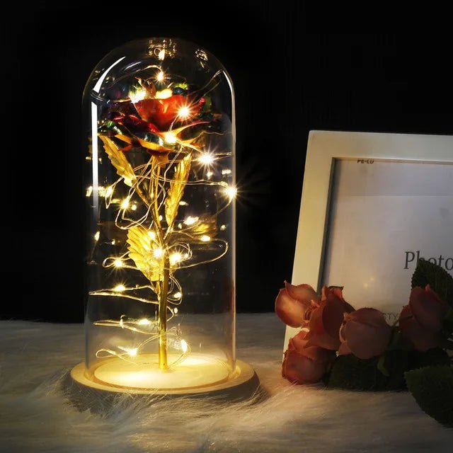Virelle Maison - Rose préservée sous cloche en verre avec éclairage LED | Virelle Maison