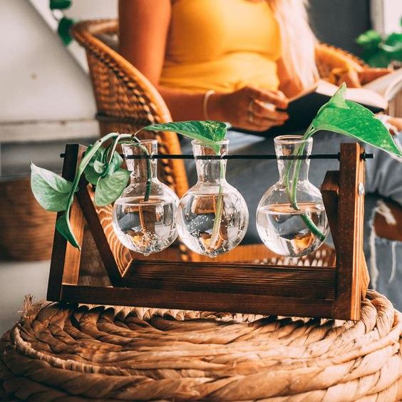 Virelle Maison - Support de propagation en bois et verre au style vintage | Virelle Maison