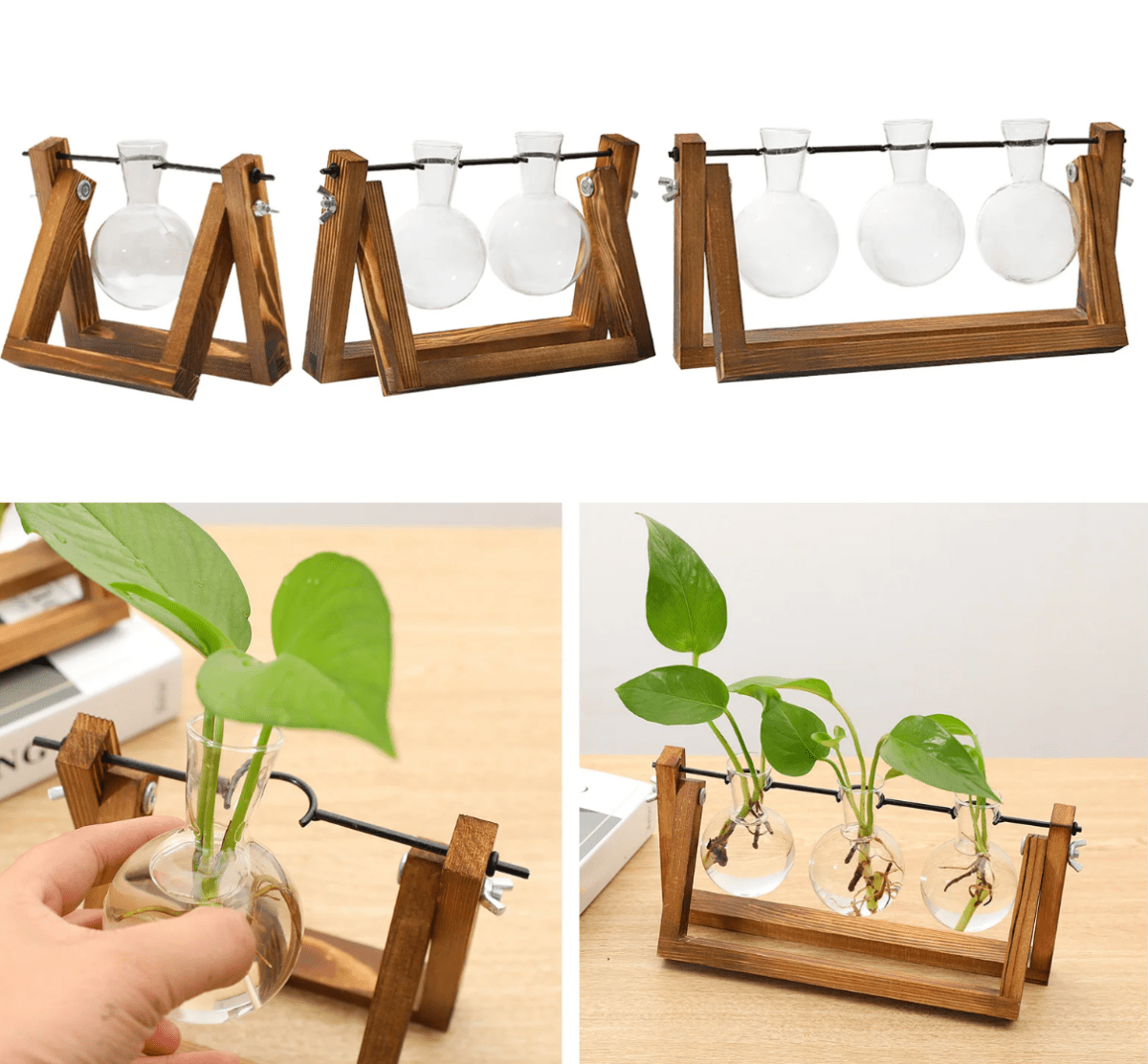 Virelle Maison - Support de propagation en bois et verre au style vintage | Virelle Maison