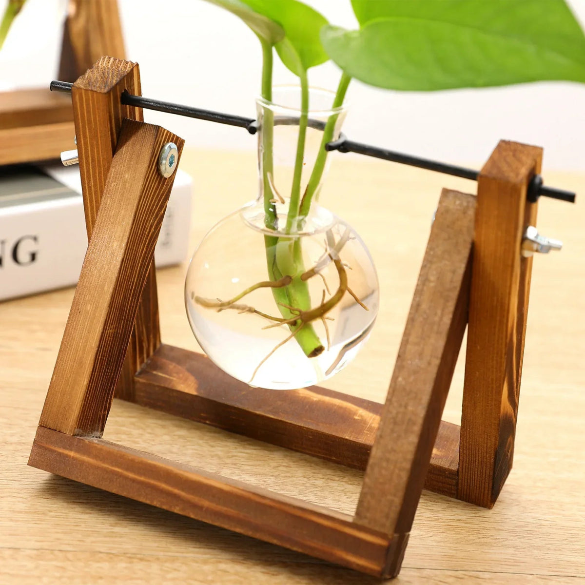 Virelle Maison - Support de propagation en bois et verre au style vintage | Virelle Maison