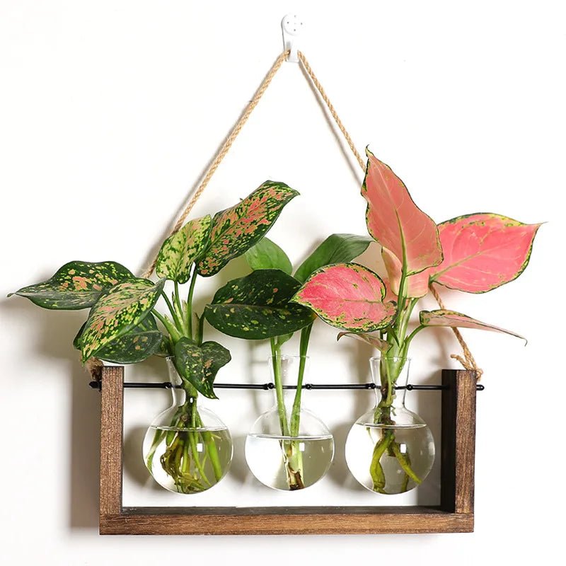 Virelle Maison - Support de propagation en bois et verre au style vintage | Virelle Maison