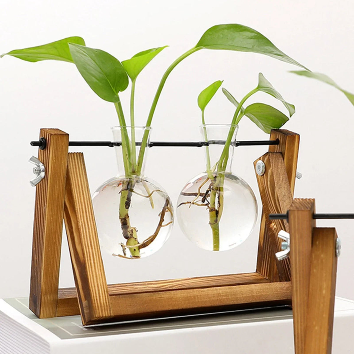 Virelle Maison - Support de propagation en bois et verre au style vintage | Virelle Maison