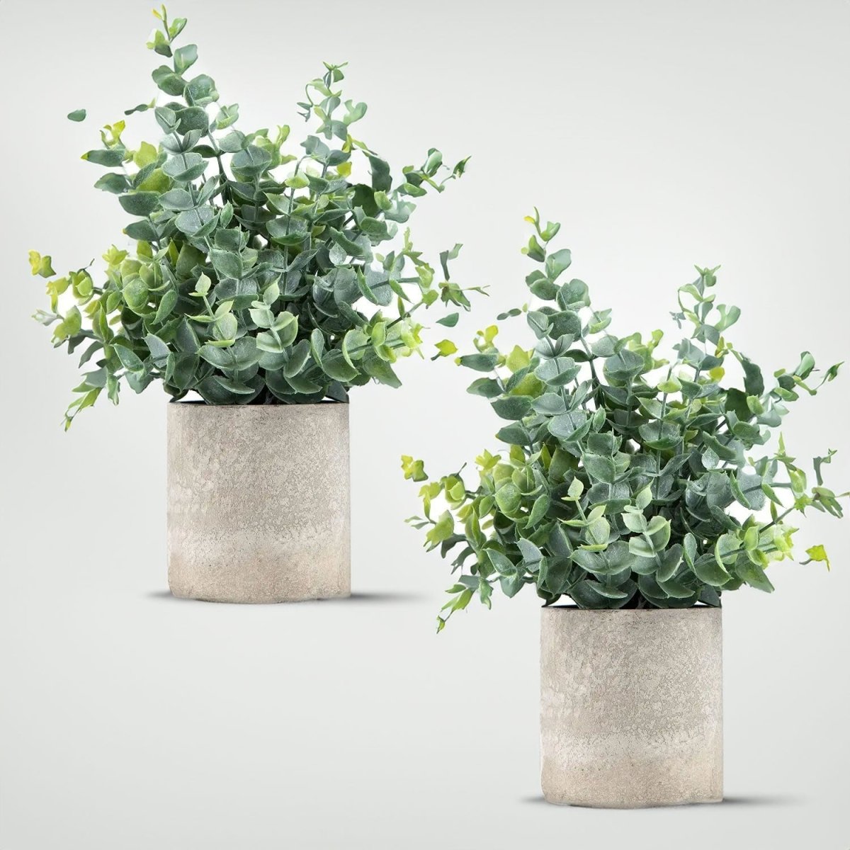 Virelle Maison - Plantes décoratives artificielles – set de 2 avec pot effet pierre | Virelle Maison