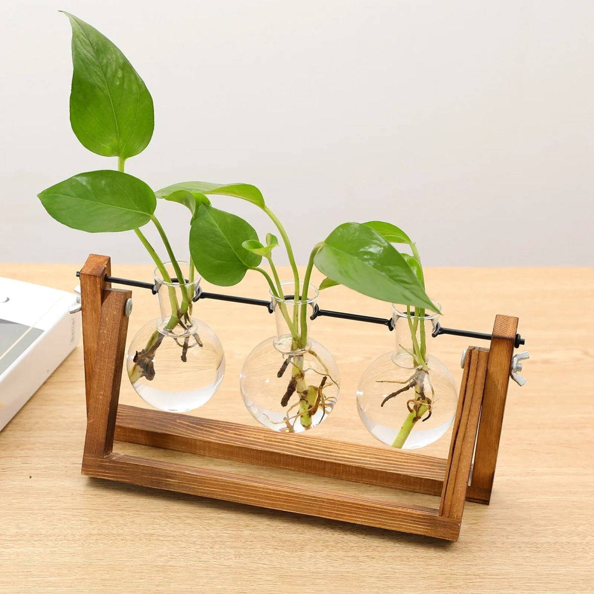 Virelle Maison - Support de propagation en bois et verre au style vintage | Virelle Maison