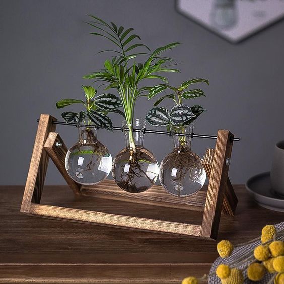 Virelle Maison - Support de propagation en bois et verre au style vintage | Virelle Maison